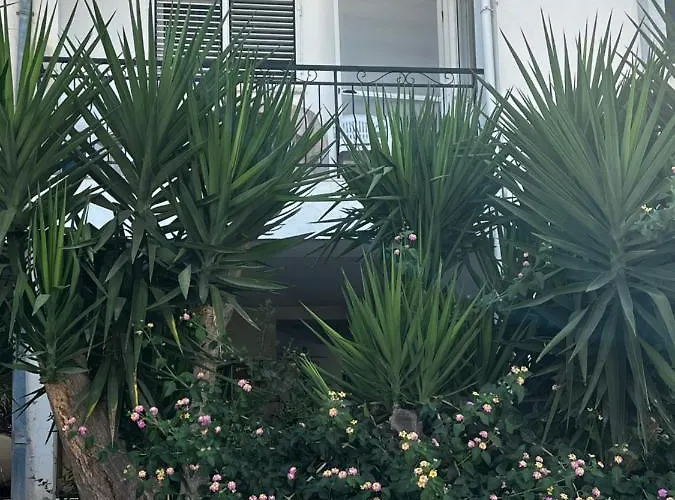 Stylish 3 Bedroom In Kyrenia Northern Cyprus